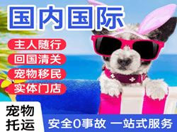 百色巴马机场物流国际宠物托运 【国